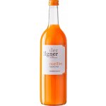 Vinařství Špalek Meruňkový nektar der Ilgner 750 ml – Hledejceny.cz