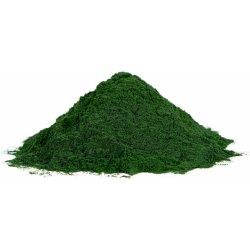 Les fruits du Paradis Spirulina prášek Bio 5000 g