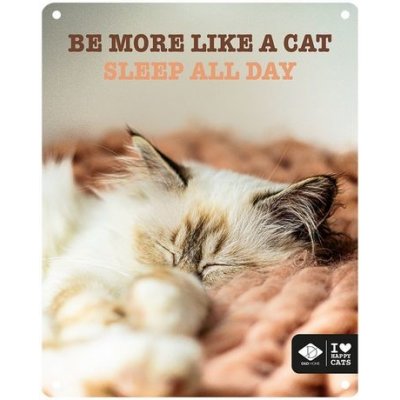 EBI D&D kovová tabulka: ,,Be more like a cat sleep all day\" 20 x 25 cm – Zboží Mobilmania