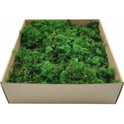 mech-mech.cz Fern Moss - Zelený - 200g – Zboží Mobilmania