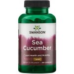 Swanson Sumýši Sea Cucumber 500 mg 100 kapslí – Hledejceny.cz