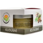 Salvia Paradise Kloubní bylinná mast 50 ml – Zboží Dáma