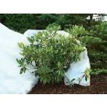 Geocover netkaná textilie 50g/m² 3,2 x 50m – Zboží Mobilmania