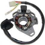 ELECTROSPORT Stator (vinutí) alternátoru SUZUKI RM 250 01-08 50W s kabelem na světla SUZUKI RM 250 rok 01-08 – Hledejceny.cz