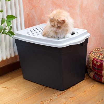 Ferplast WC kočka kryté JUMPY 38,8 x 57,5 x 39 cm – Zboží Dáma