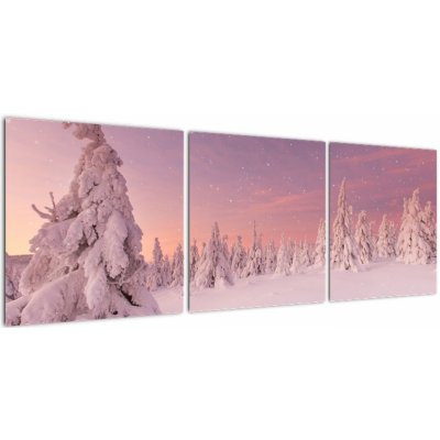 Obraz - Stromy pod sněhovou přikrývkou, třídílný 120x40 cm – Hledejceny.cz