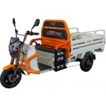 RURIS PILOT 3120A E-tříkolka – Zbozi.Blesk.cz