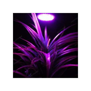 LED žárovka fialová, 2W E27 pro rostliny S0334