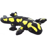 Mlok – Sleviste.cz