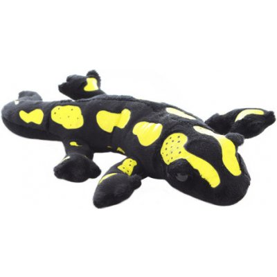 Mlok – Sleviste.cz