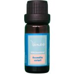 Venoc Esenciální olej Kadidlovník pravý 10 ml – Hledejceny.cz