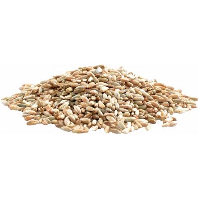 Aso Zdravý život Žito Bio 25 kg – Hledejceny.cz