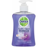 Dettol Nourish vyživující antibakteriální tekuté mýdlo dávkovač 250 ml – Zboží Mobilmania