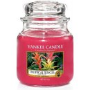 Yankee Candle Tropical Jungle 623 g