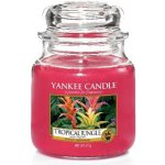 Yankee Candle Tropical Jungle 623 g – Zbozi.Blesk.cz