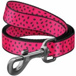 WAUDOG NYLON VODÍTKO PRO PSA NYLONOVÉ – Hledejceny.cz