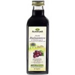 Alnatura Ocet balsamico BIO 500ml – Zboží Dáma