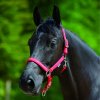 Ohlávky a vodítka pro koně WALDHAUSEN Ohlávka Little Horse černá