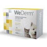 WeDerm 240 kapslí – Hledejceny.cz