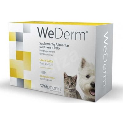 WeDerm 240 kapslí – Hledejceny.cz