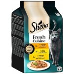 Sheba Fresh Cuisine Taste of Rome kuřecí a krůtí 6 x 50 g – Hledejceny.cz