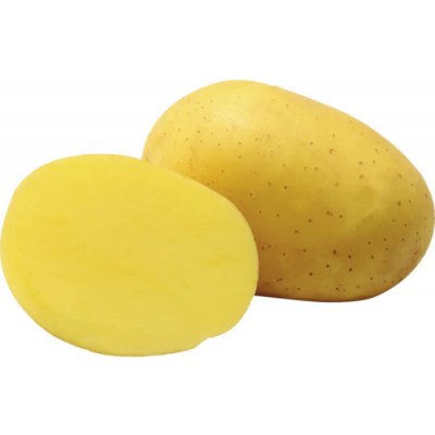 Sadbové brambory MARABEL žluté rané 5 kg – Zbozi.Blesk.cz