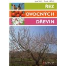 Řez ovocných dřevin