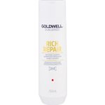 Goldwell Dualsenses Rich Repair Shampoo 250 ml – Hledejceny.cz