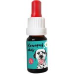 Zelená Země CBD olej pro zvířata 2% 10 ml – Sleviste.cz