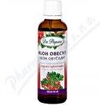 Dr. Popov Hloh obecný originální bylinné kapky 50 ml – Hledejceny.cz