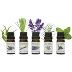 Pure Rio 100% set esenciálních olejů 5 x 10 ml – Hledejceny.cz