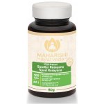 Maharishi Ayurveda BIO Sport Rasayana 100 tablet – Hledejceny.cz