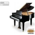 Yamaha GC1 SE – Zbozi.Blesk.cz