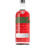 Absolut Watermelon 38% 0,7 l (holá láhev) – Zboží Dáma