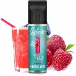 CoolniSE Malinový ARCTIC KISS 10 ml – Sleviste.cz
