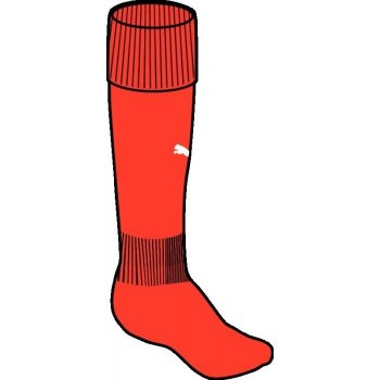 Puma Team Football Socks