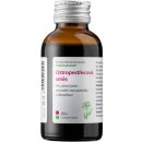 Novy Dědek Kořenář Ostropestřecová směs JK 100 ml