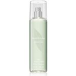 Elizabeth Arden Green Tea tělový závoj 236 ml – Zbozi.Blesk.cz