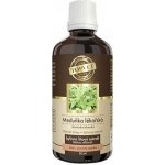 Green idea Meduňka lékařská tinktura kapky 50 ml – Hledejceny.cz