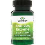 Swanson Anti-Gas Enzyme 90 rostlinných kapslí – Hledejceny.cz