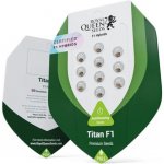 Royal Queen Seeds Titan F1 AUTO semena neobsahují THC 3 ks – Zboží Dáma