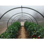 Lanit Plast DODO 300 3x4 m PC 4 mm černý LG4355 – Zboží Dáma
