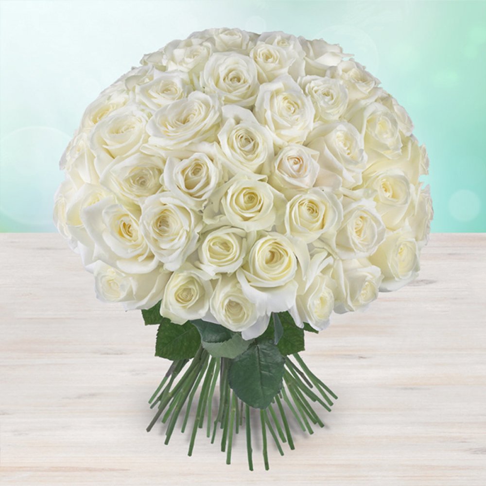 Rozvoz květin: Bílé čerstvé růže - 50cm - cena za 1ks - Brno |  Srovnanicen.cz