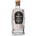 Radlík Hruškovice Clappova 45% 0,5 l (holá láhev) – Zboží Dáma