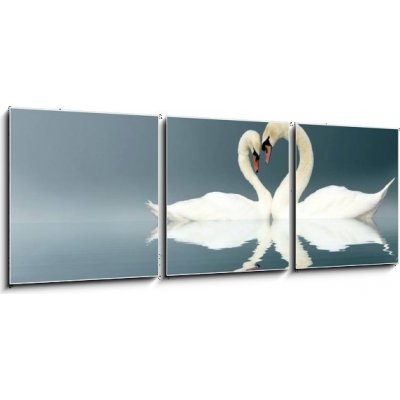 Obraz 3D třídílný - 150 x 50 cm - Love Swans swan heart Amor – Zbozi.Blesk.cz