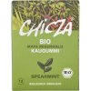 Žvýkačka Chicza Spearmint 30 g