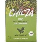 Chicza Spearmint 30 g – Zboží Dáma