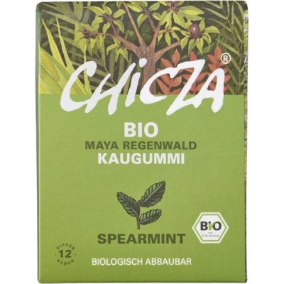 Chicza Spearmint 30 g – Zboží Dáma
