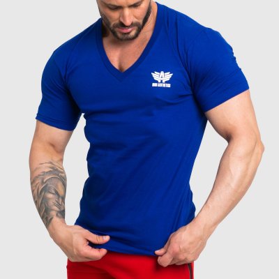Pánské fitness tričko Iron Aesthetics Original V modrá