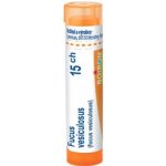 FUCUS VESICULOSUS POR 15CH GRA 1X4G – Hledejceny.cz